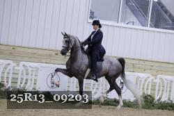 25R13_09203 thumbnail