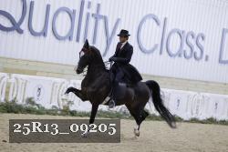 25R13_09205 thumbnail