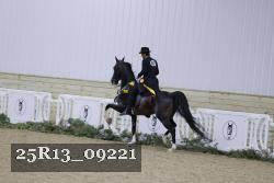 25R13_09221 thumbnail