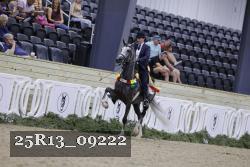 25R13_09222 thumbnail