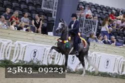 25R13_09223 thumbnail
