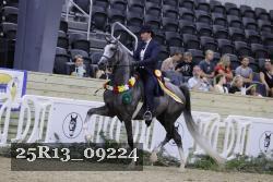 25R13_09224 thumbnail