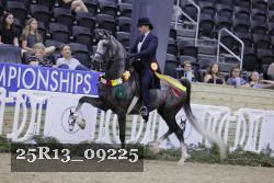 25R13_09225 thumbnail