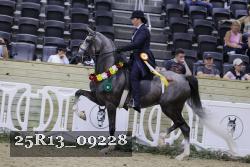 25R13_09228 thumbnail