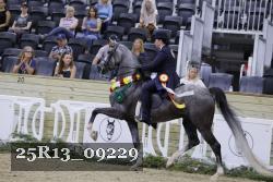 25R13_09229 thumbnail
