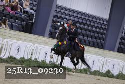 25R13_09230 thumbnail