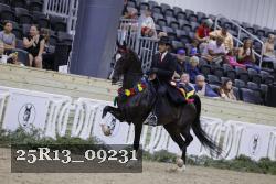 25R13_09231 thumbnail