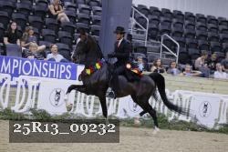 25R13_09232 thumbnail