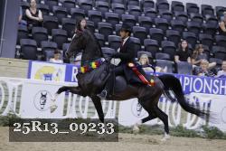 25R13_09233 thumbnail