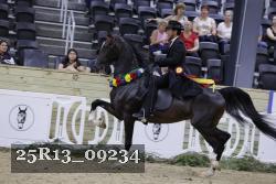 25R13_09234 thumbnail