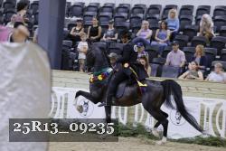 25R13_09235 thumbnail