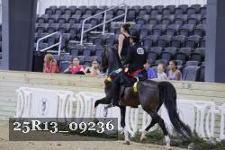 25R13_09236 thumbnail