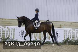 25R13_09240 thumbnail