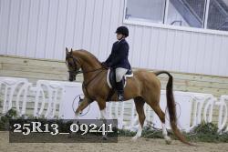 25R13_09241 thumbnail