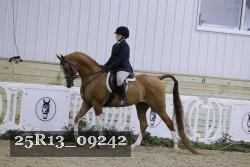 25R13_09242 thumbnail