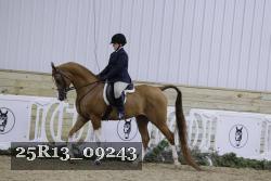 25R13_09243 thumbnail