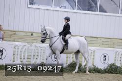 25R13_09247 thumbnail