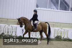 25R13_09250 thumbnail