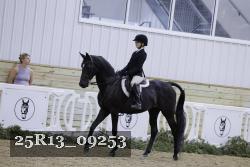 25R13_09253 thumbnail