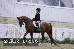 25R13_09258 thumbnail