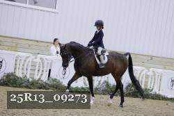 25R13_09273 thumbnail