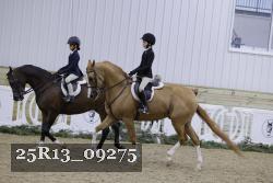25R13_09275 thumbnail