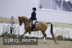 25R13_09278 thumbnail