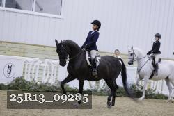 25R13_09285 thumbnail