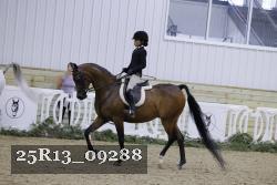 25R13_09288 thumbnail