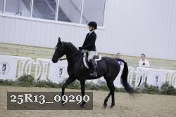 25R13_09290 thumbnail