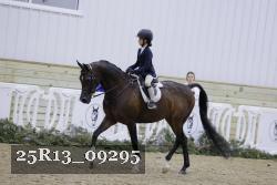 25R13_09295 thumbnail