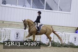 25R13_09297 thumbnail