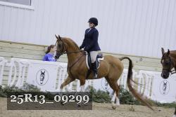 25R13_09299 thumbnail