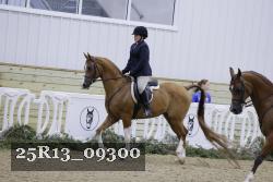 25R13_09300 thumbnail