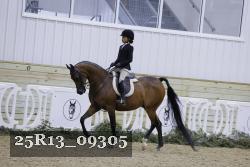 25R13_09305 thumbnail