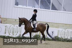 25R13_09307 thumbnail