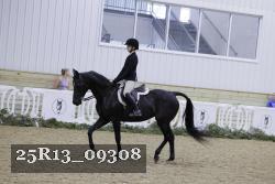 25R13_09308 thumbnail