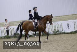 25R13_09309 thumbnail