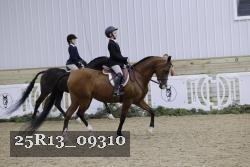 25R13_09310 thumbnail
