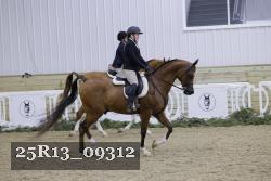25R13_09312 thumbnail