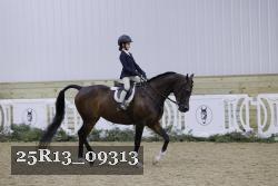 25R13_09313 thumbnail