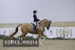 25R13_09314 thumbnail
