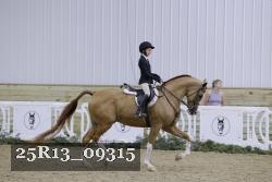 25R13_09315 thumbnail
