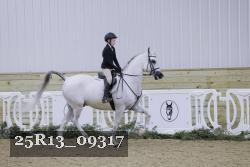 25R13_09317 thumbnail
