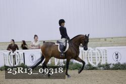 25R13_09318 thumbnail