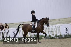 25R13_09322 thumbnail