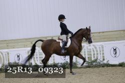 25R13_09323 thumbnail