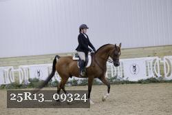 25R13_09324 thumbnail