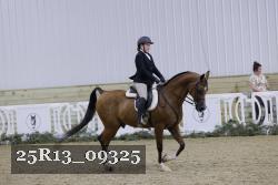 25R13_09325 thumbnail