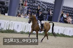 25R13_09349 thumbnail